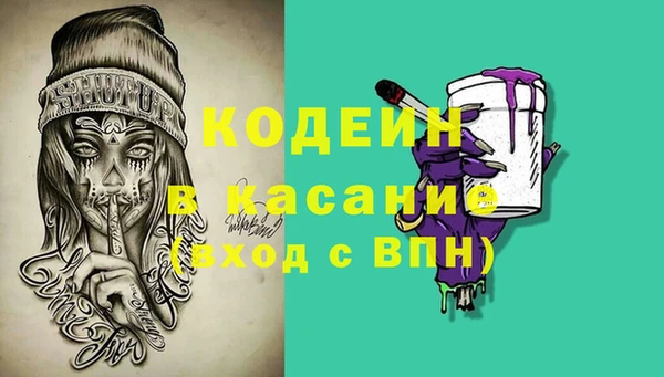 дживик Заводоуковск